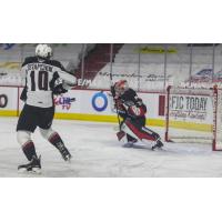 Prince George Cougars goaltender Tyler Brennan vs. the Vancouver Giants