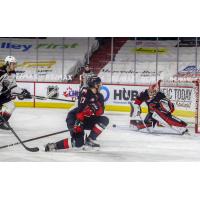 Prince George Cougars goaltender Tyler Brennan eyes a loose puck vs. the Vancouver Giants