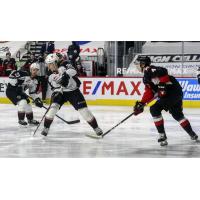 Vancouver Giants right wing Justin Lies vs. the Prince George Cougars