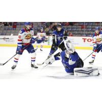Saint John Sea Dogs goaltender Zachary Emond vs. the Moncton Wildcats