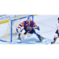 Orlando Solar Bears goaltender Clint Windsor