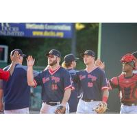 Portland Sea Dogs exchange high fives