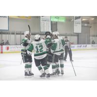 Texas Stars celebrate a goal against the San Jose Barracuda
