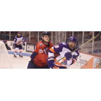 South Carolina Stingrays forward Cameron Askew (left) vs. the Orlando Solar Bears