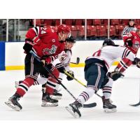 New Jersey Titans forward Levente Keresztes vs. the Johnstown Tomahawks