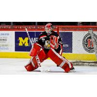 Grand Rapids Griffins goaltender Kaden Fulcher