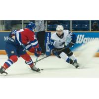 Saint John Sea Dogs right wing Zachary Alchorn (right) vs. the Moncton Wildcats