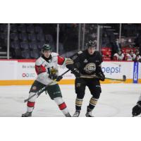 Charlottetown Islanders vs. the Halifax Mooseheads