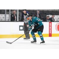 Defenseman Nick DeSimone with the San Jose Barracuda