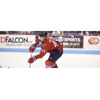 South Carolina Stingrays defenseman Blake Hillman