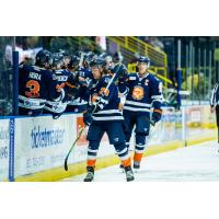 Greenville Swamp Rabbits forward Liam Pecararo
