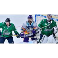 Orlando Solar Bears forward Fabrizio Ricci (center) vs. the Florida Everblades
