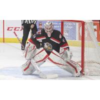 Grand Rapids Griffins goaltender Kevin Boyle