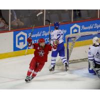 Zane Franklin of the Allen Americans celebrates a goal against the Wichita Thunder
