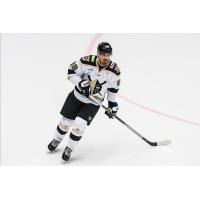 Forward Michael Joly with the Wheeling Nailers