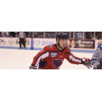 South Carolina Stingrays forward Matthew Weis