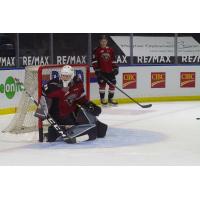 Vancouver Giants goaltender Drew Sim