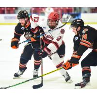 New Jersey Titans forward Nick Seitz (center) vs. the Danbury Jr. Hat Tricks