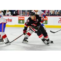Belleville Senators centre Logan Brown