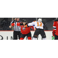 Binghamton Senators fight the Lehigh Valley Phantoms
