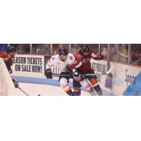 South Carolina Stingrays vs. the Greenville Swamp Rabbits