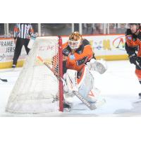Lehigh Valley Phantoms goaltender Felix Sandström vs. the Binghamton Devils