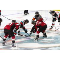 Vancouver Giants centre Eric Florchuk (right) faces off with the Kelowna Rockets