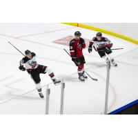 Kelowna Rockets celebrate a goal against the Vancouver Giants