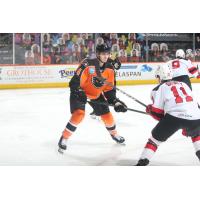 Lehigh Valley Phantoms defenseman Egor Zamula