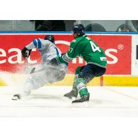 Jacksonville Icemen battle the Florida Everblades