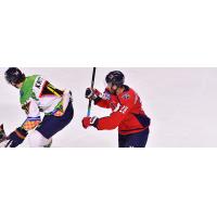 South Carolina Stingrays forward Andrew Cherniwchan (right) vs. the Greenville Swamp Rabbits