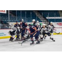 Vancouver Giants vs. the Kamloops Blazers