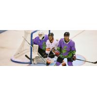 South Carolina Stingrays in their Nickelodeon Rugrats Night jerseys vs. the Greenville Swamp Rabbits