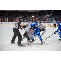 Wichita Thunder forward Spencer Dorowicz (51) tangles with the Kansas City Mavericks