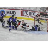 Prince George Cougars test the Victoria Royals goaltender