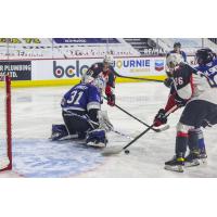 Ethan Browne and Kyren Gronick of the Prince George Cougars vs. the Victoria Royals