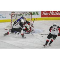Prince George Cougars goaltender Tayler Gauthier is tested by the Victoria Royals