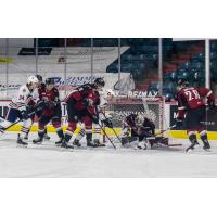 Vancouver Giants goaltender Trent Miner smothers the puck vs. the Kamloops Blazers