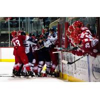 Allen Americans brawl with the Tulsa Oilers