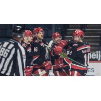 Grand Rapids Griffins gather around Gregor MacLeod after his goal