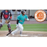 Long Island Ducks catcher Hector Sanchez