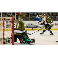 Texas Stars goaltender Adam Scheel