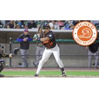 Long Island Ducks outfielder D'Arby Myers
