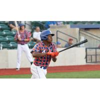 Green Bay Booyah outfielder Nadir Lewis