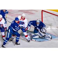 Goaltender Ian Scott with the Toronto Marlies vs. the Laval Rocket