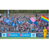The crowd at a Forward Madison FC match