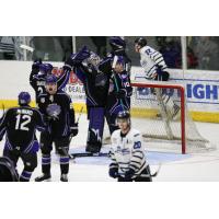 Tri-City Storm celebrate a win vs. the Fargo Force
