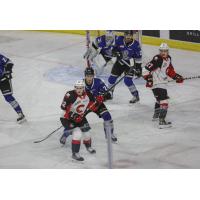 Prince George Cougars left wing David Griffen (bottom) vs. the Victoria Royals