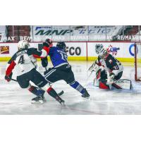 Prince George Cougars defenceman Ethan Samson and goaltender Ty Young vs. the Victoria Royals