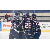 Tri-City Americans celebrate a goal